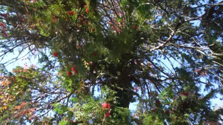 Кончил, а кокетка без оргазма — дотрахаю, пока трястись не будет