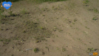 Вторая Половинка, ты мне изменяешь? Да похуй, давайте вчетвером потрахаемся