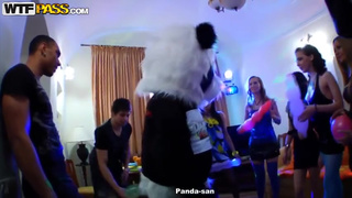 Бухие телки на вечеринке долбятся в групповушке с парнями